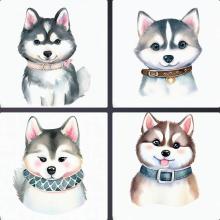 動物、イラスト、水彩画、かわいい、犬、ハスキー、首輪